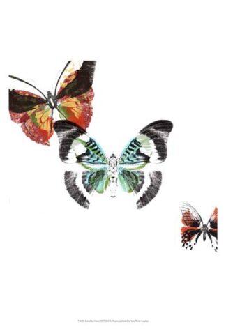 Butterflies Dance III