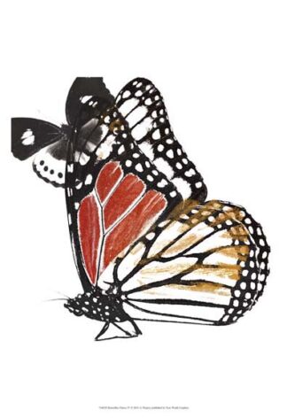 Butterflies Dance IV