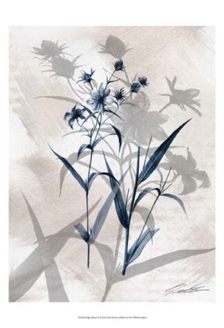 Indigo Bloom IV