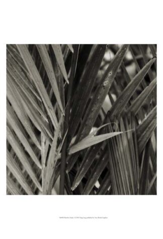 Bamboo Study I