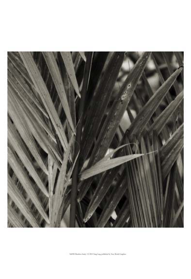 Bamboo Study I