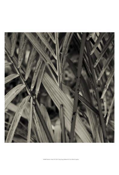 Bamboo Study II