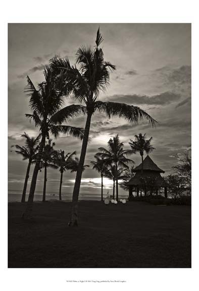 Palms at Night I