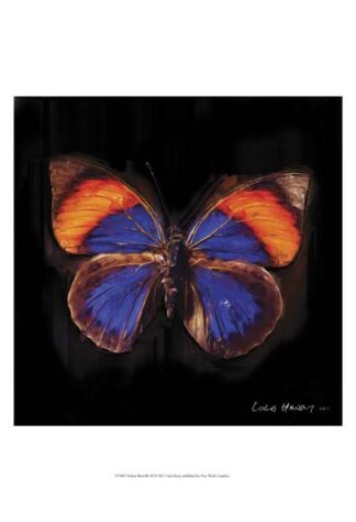 Techno Butterfly III