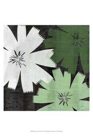 Bloomer Squares XVIII