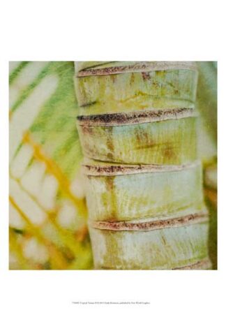 Tropical Texture II