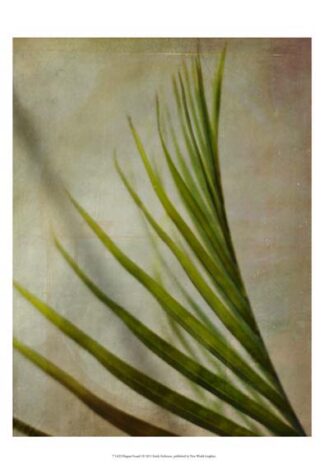 Elegant Frond I