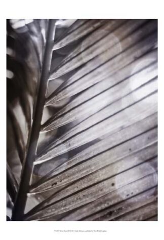 Silvery Frond II