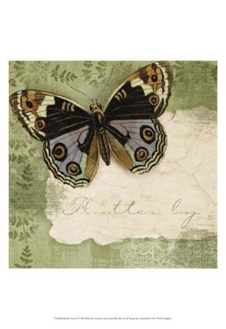 Butterfly Notes IV