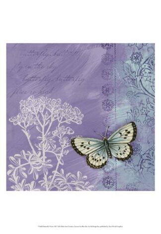 Butterfly Notes VIII