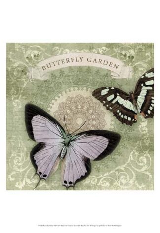 Butterfly Notes XII