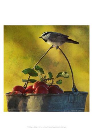 Apples & Chickadee