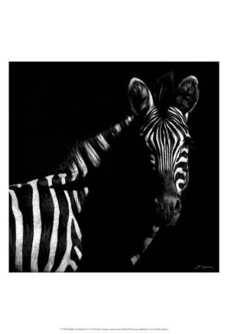 Wildlife Scratchboards IV