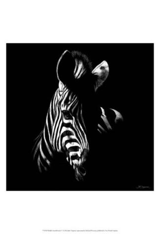 Wildlife Scratchboards V