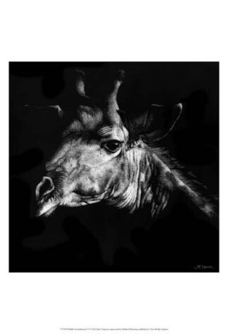 Wildlife Scratchboards VI