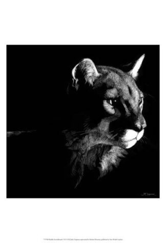 Wildlife Scratchboards VII