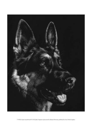 Canine Scratchboard I