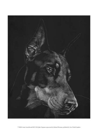 Canine Scratchboard III