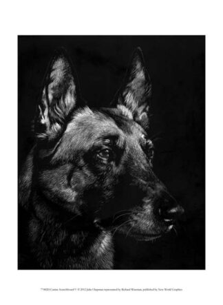 Canine Scratchboard V