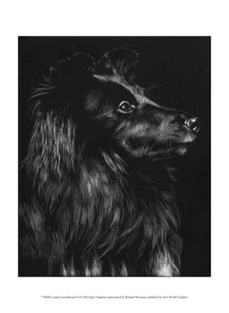 Canine Scratchboard VI