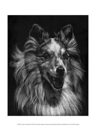 Canine Scratchboard VIII