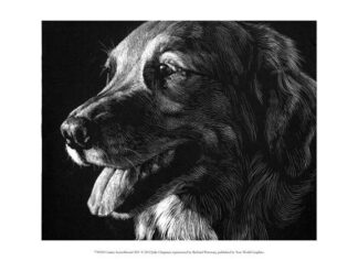 Canine Scratchboard XIV