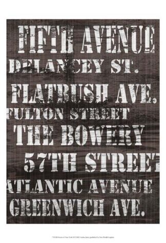 Streets of New York II