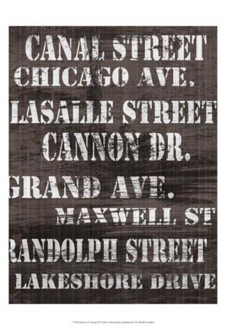 Streets of Chicago II