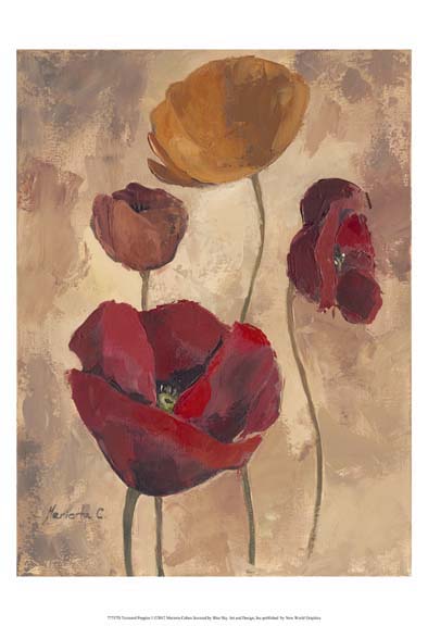 Textured Poppies I