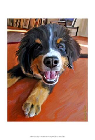 Bernese Puppy