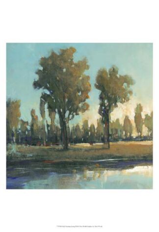 Early Morning Spring