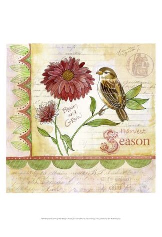 Spread Your Wings II