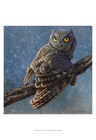 Owl in Winter I