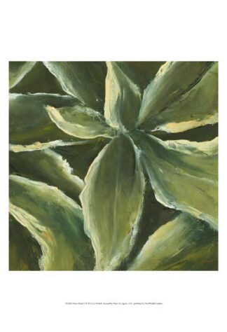 Hosta Detail I