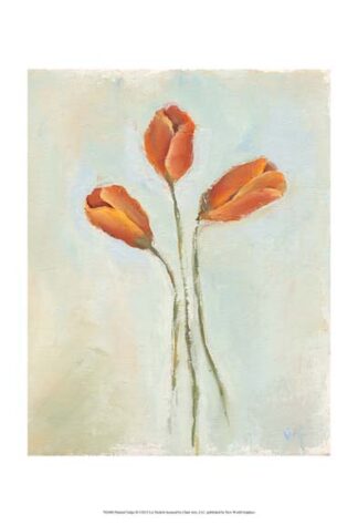 Painted Tulips II