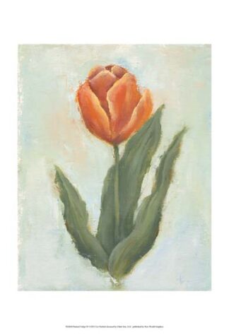 Painted Tulips IV