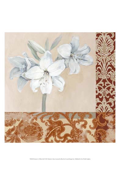 Portrait of a White Lily