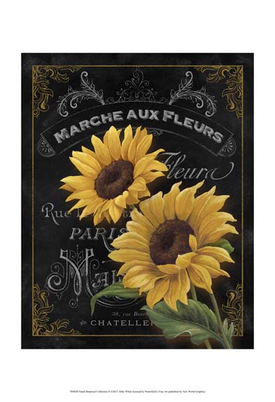 Small Botanical Collection II