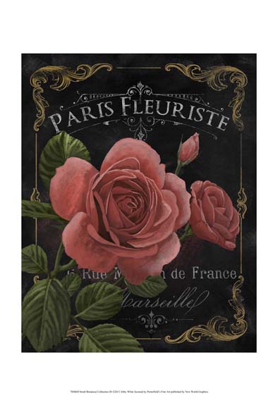 Small Botanical Collection III