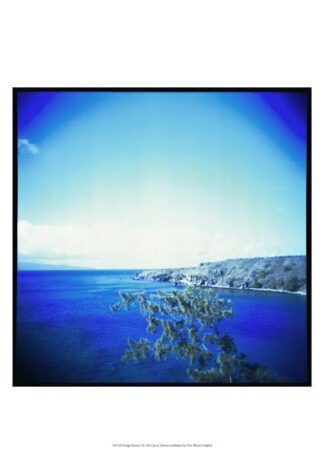 Holga Hawaii I