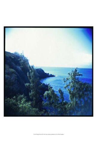 Holga Hawaii II