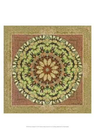 Floress Mandala IV