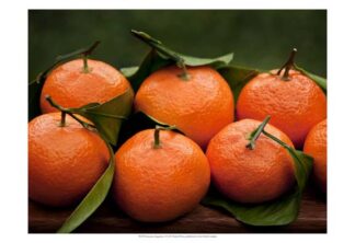 Satsuma Tangerines I