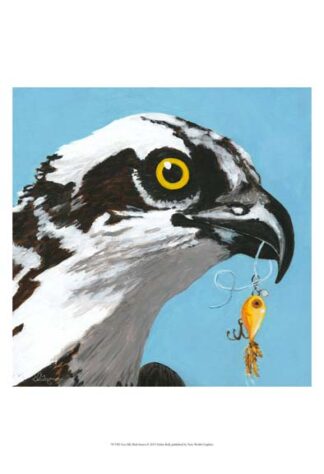 You Silly Bird - Senior