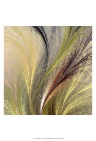 Fountain Grass I