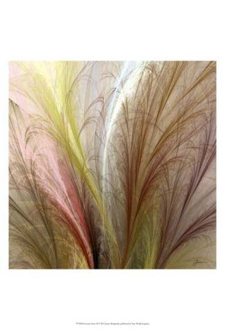 Fountain Grass II