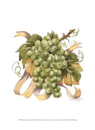 Watercolor Grapes II