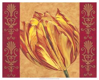 Tulip Power I