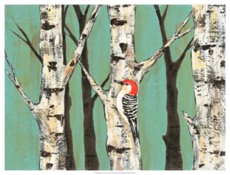 Birch Grove on Teal II