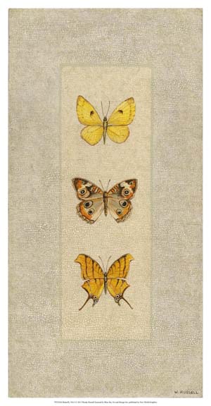 Butterfly Trio I